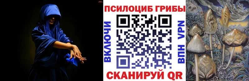 Купить где  Черноголовка  Галлюциногенные грибы Cubensis 